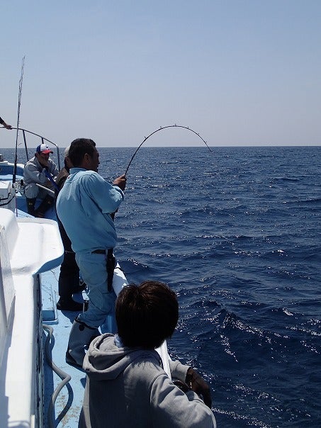 夏丸　釣果報告