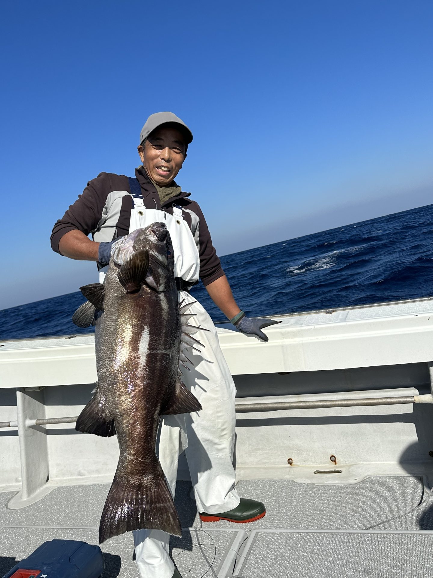 イシナギ16ｋｇ　泳がせ