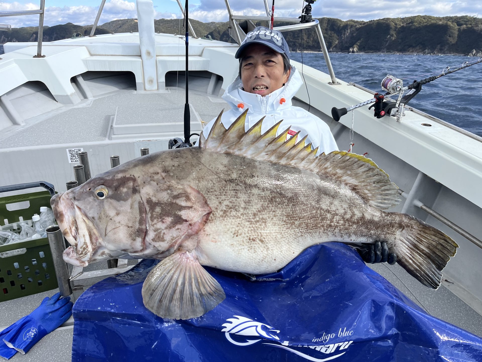 クエ30.6kg  泳がせ