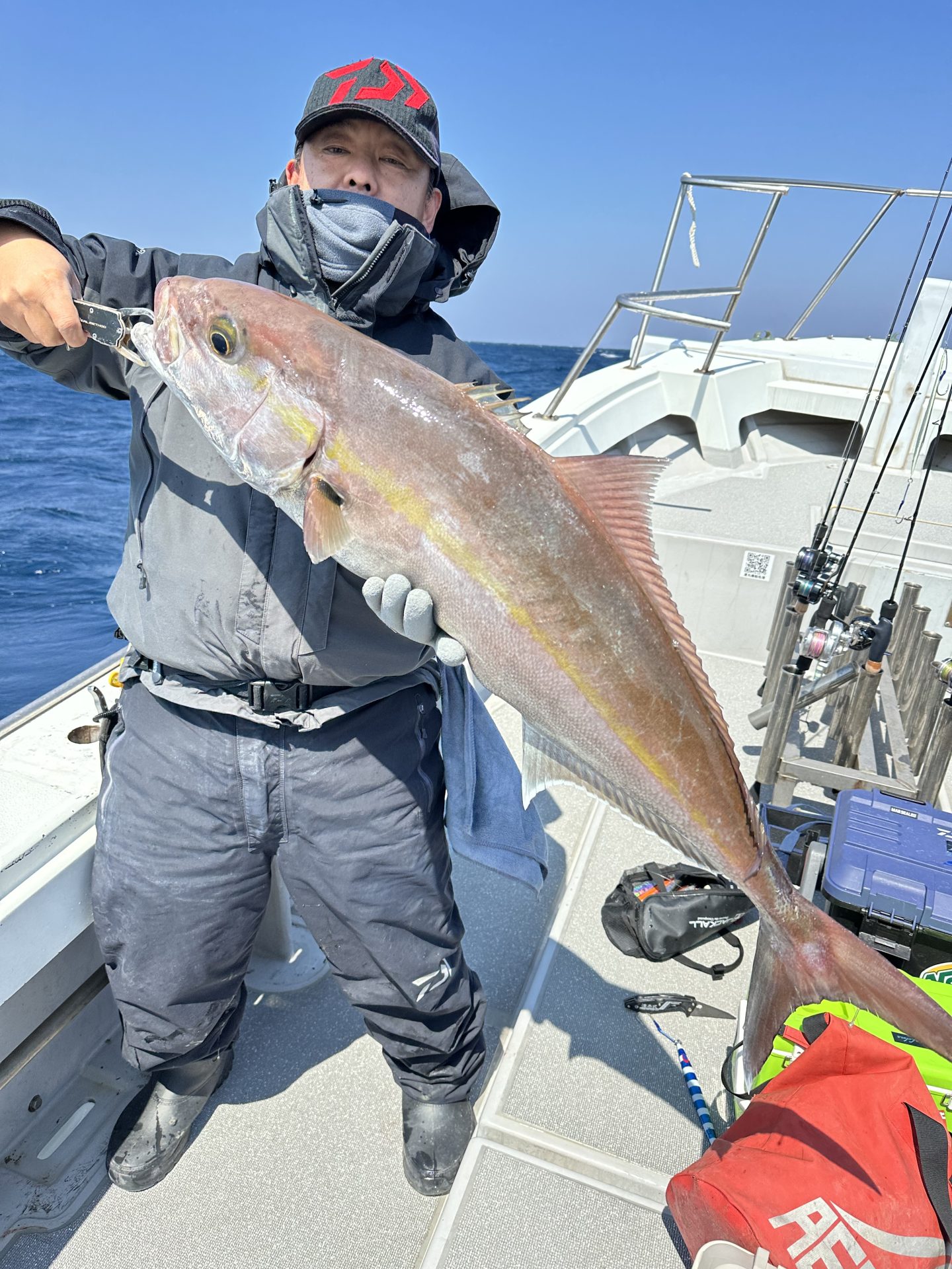 カンパチ　10ｋｇ