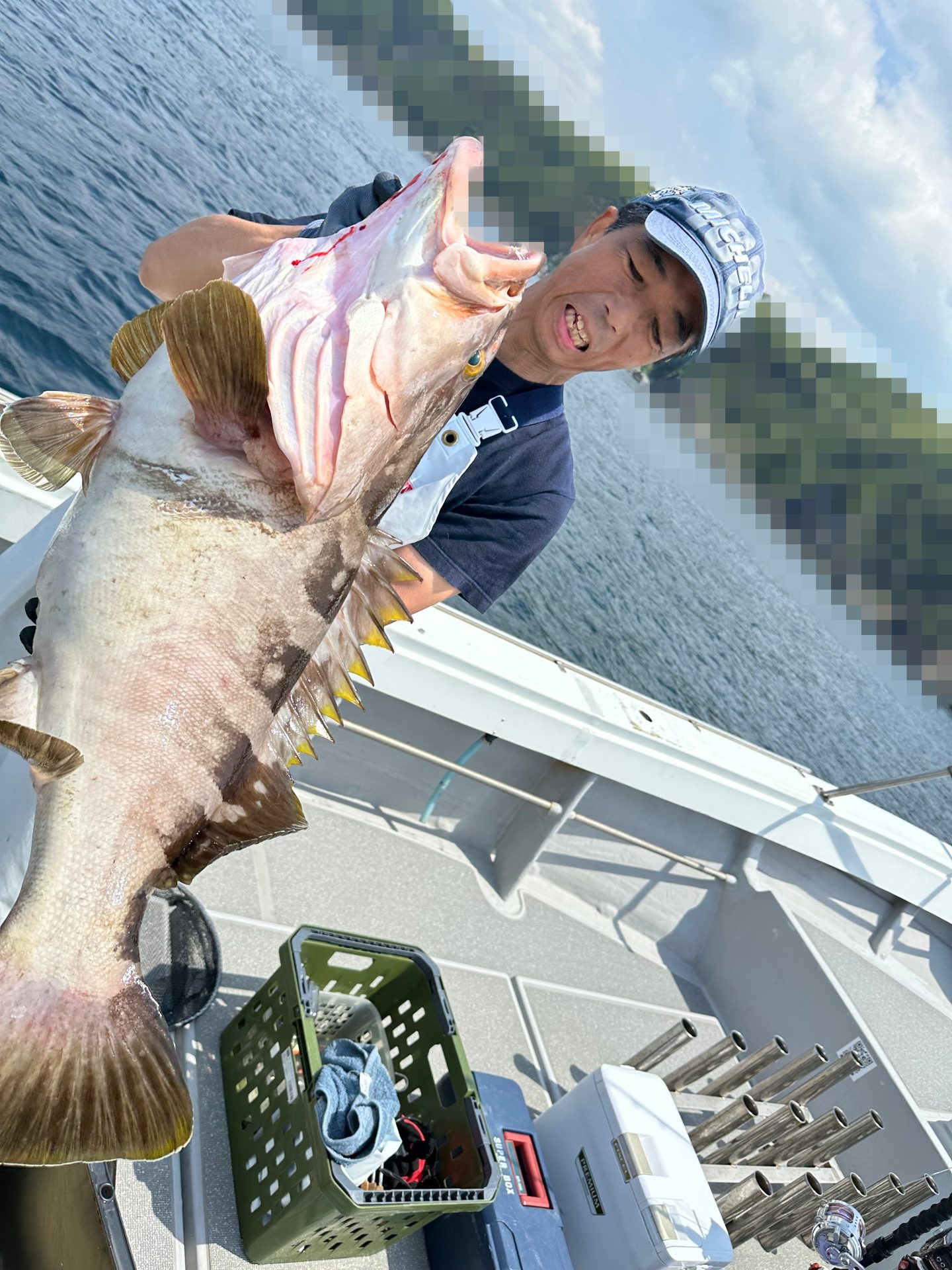 クエ15ｋｇ　泳がせ