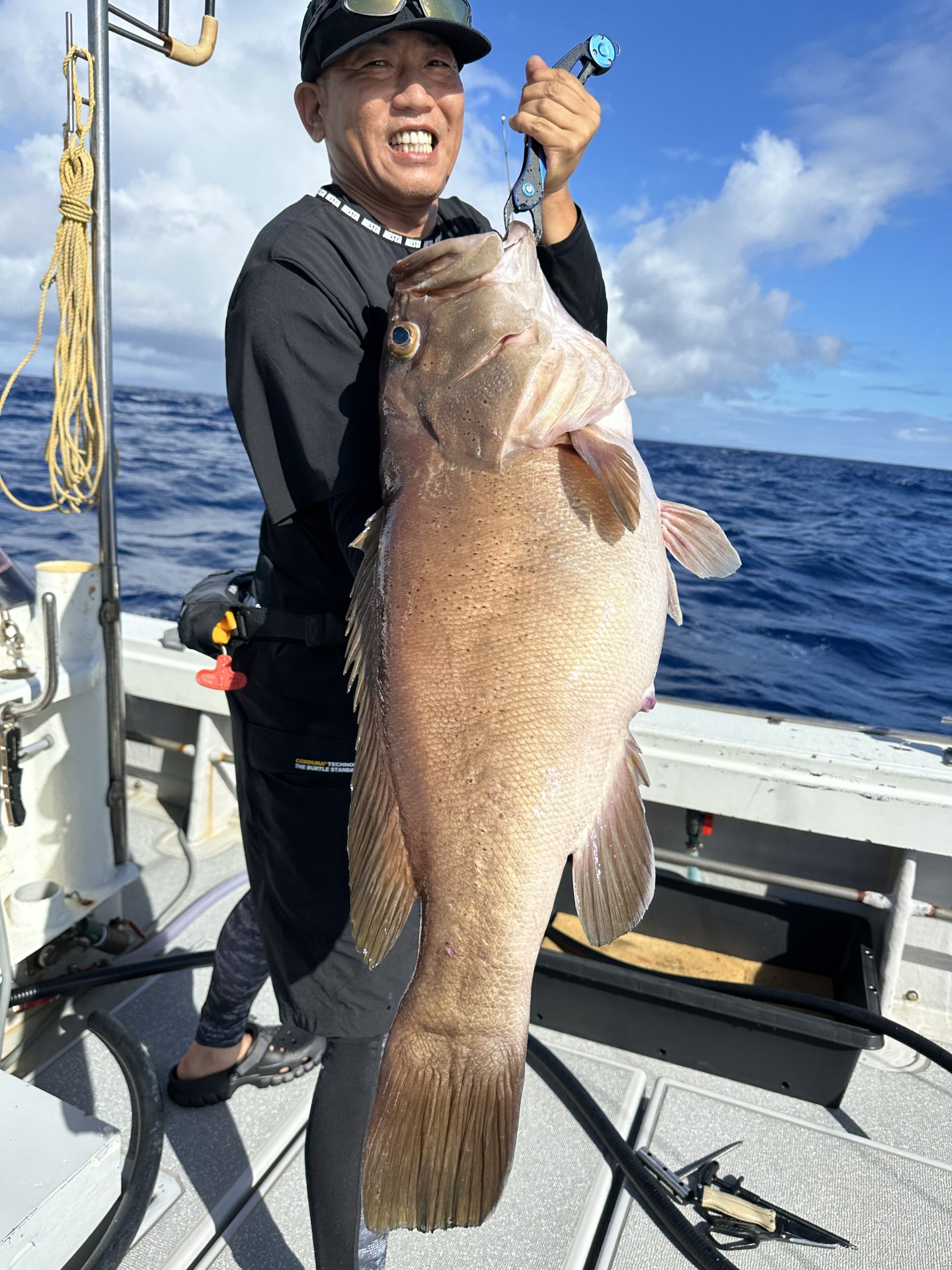 コモンハタ　11ｋｇ