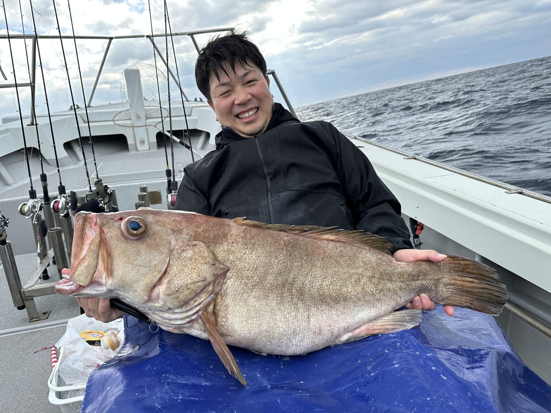 コモンハタ　11ｋｇ
