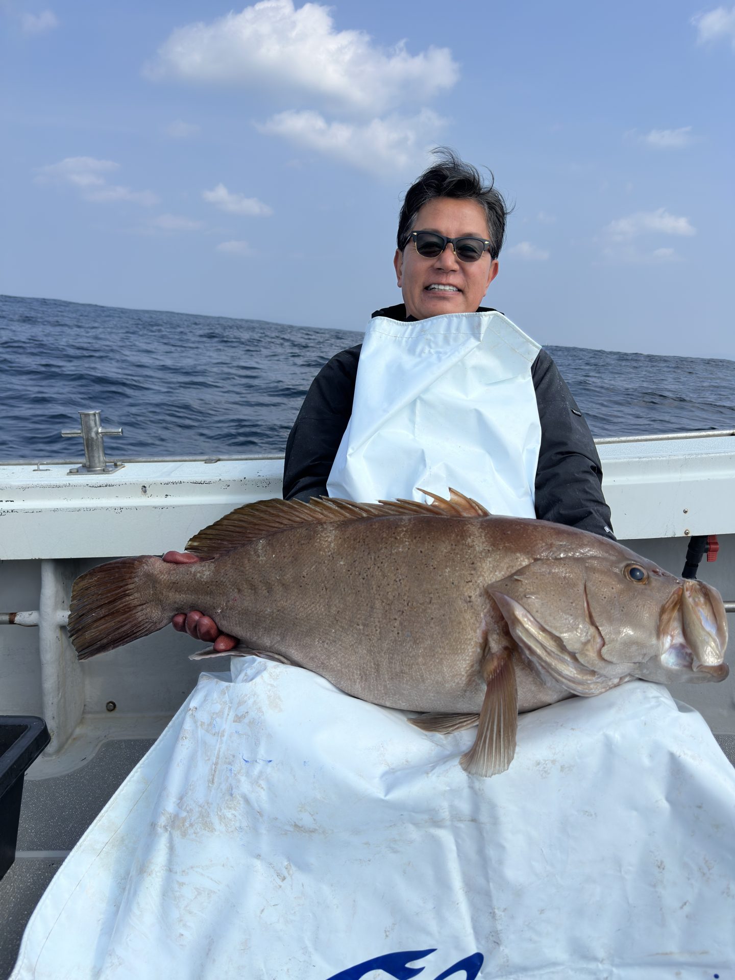 コモンハタ　12ｋｇ