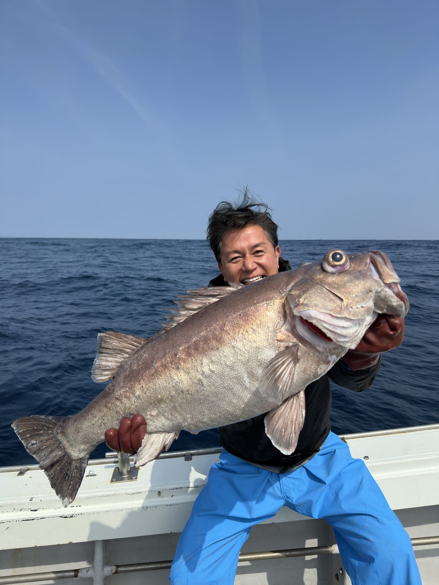 アラ　8ｋｇ