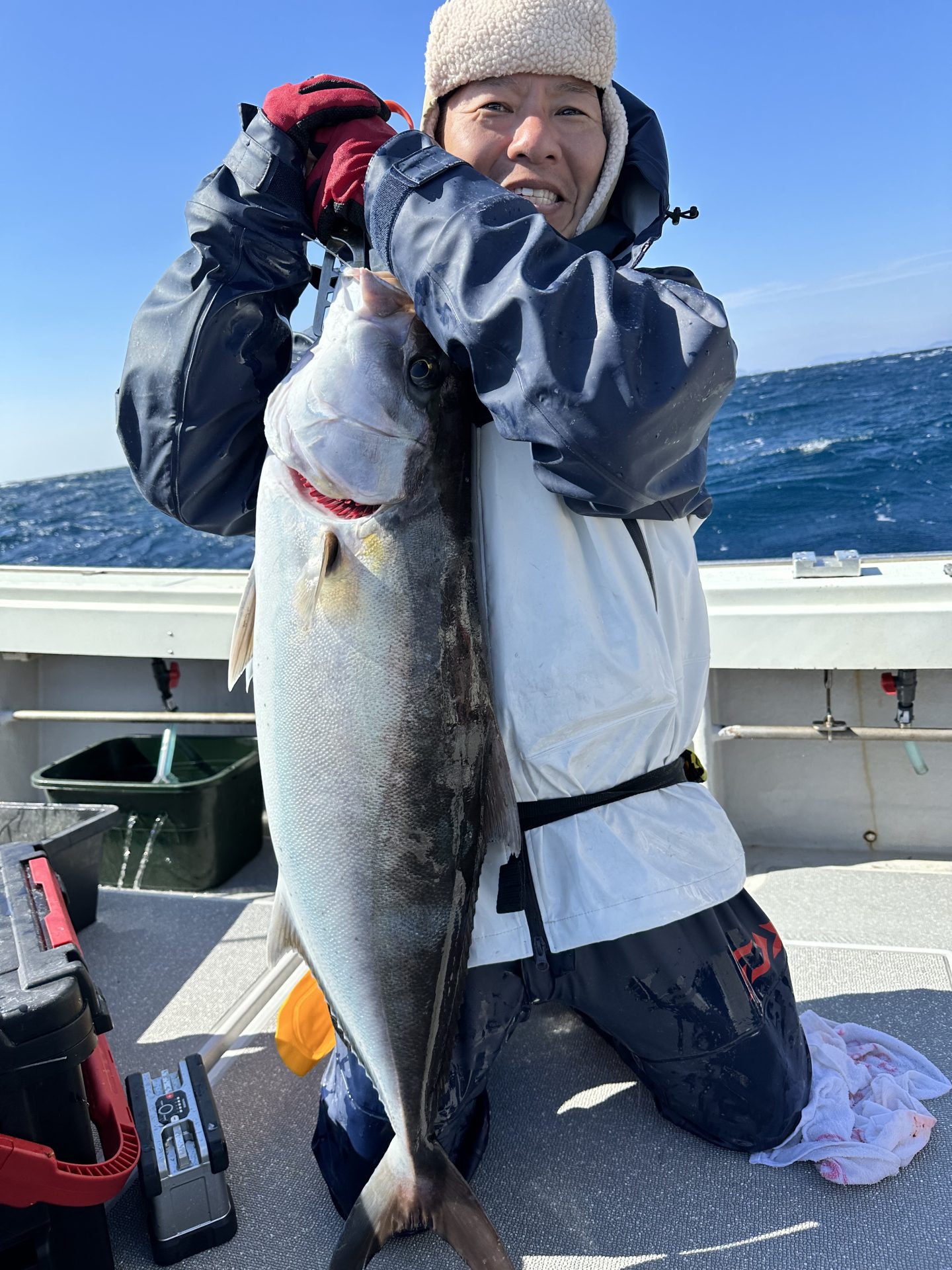 カンパチ10ｋｇ　泳がせ